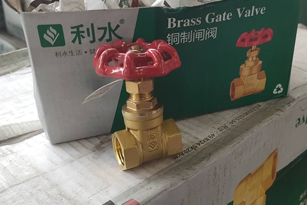 香蕉视频污版在线观看